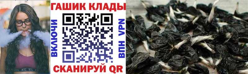 купить наркоту  Нововоронеж  Гашиш VHQ 