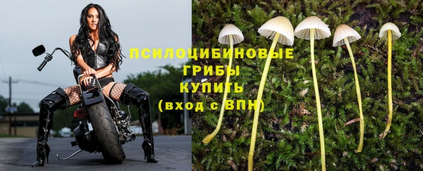 метамфетамин Приозерск