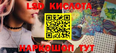 индика Гусев