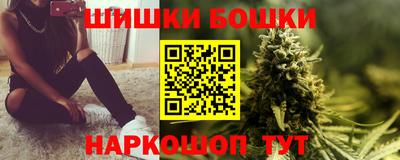 индика Гусев