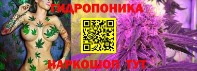 метадон Гусь-Хрустальный
