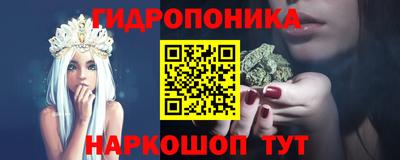 индика Гусев