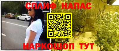индика Гусев