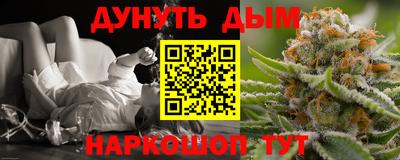индика Гусев