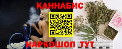 индика Гусев