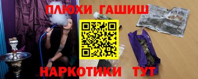 индика Гусев
