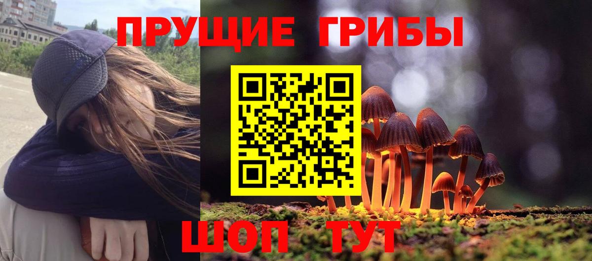 Галлюциногенные грибы мухоморы Нововоронеж